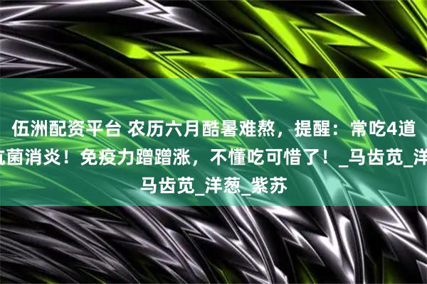 伍洲配资平台 农历六月酷暑难熬，提醒：常吃4道家常菜抗菌消炎！免疫力蹭蹭涨，不懂吃可惜了！_马齿苋_洋葱_紫苏