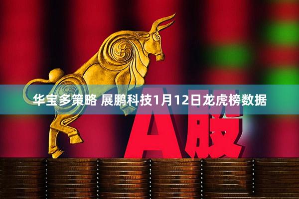 华宝多策略 展鹏科技1月12日龙虎榜数据