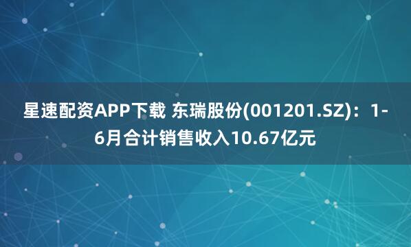 星速配资APP下载 东瑞股份(001201.SZ)：1-6月合计销售收入10.67亿元