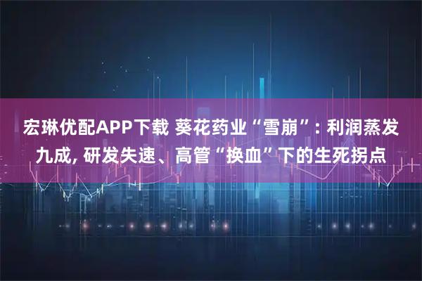 宏琳优配APP下载 葵花药业“雪崩”: 利润蒸发九成, 研发失速、高管“换血”下的生死拐点